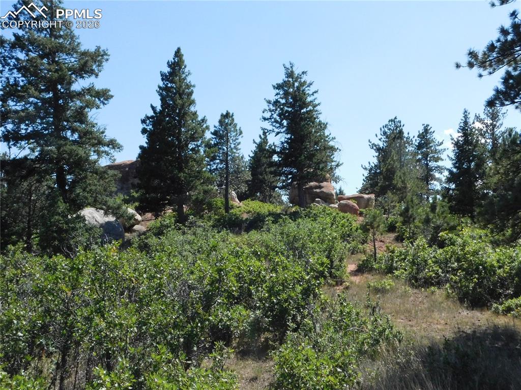 Lot 9 Troon Court Larkspur CO 80118