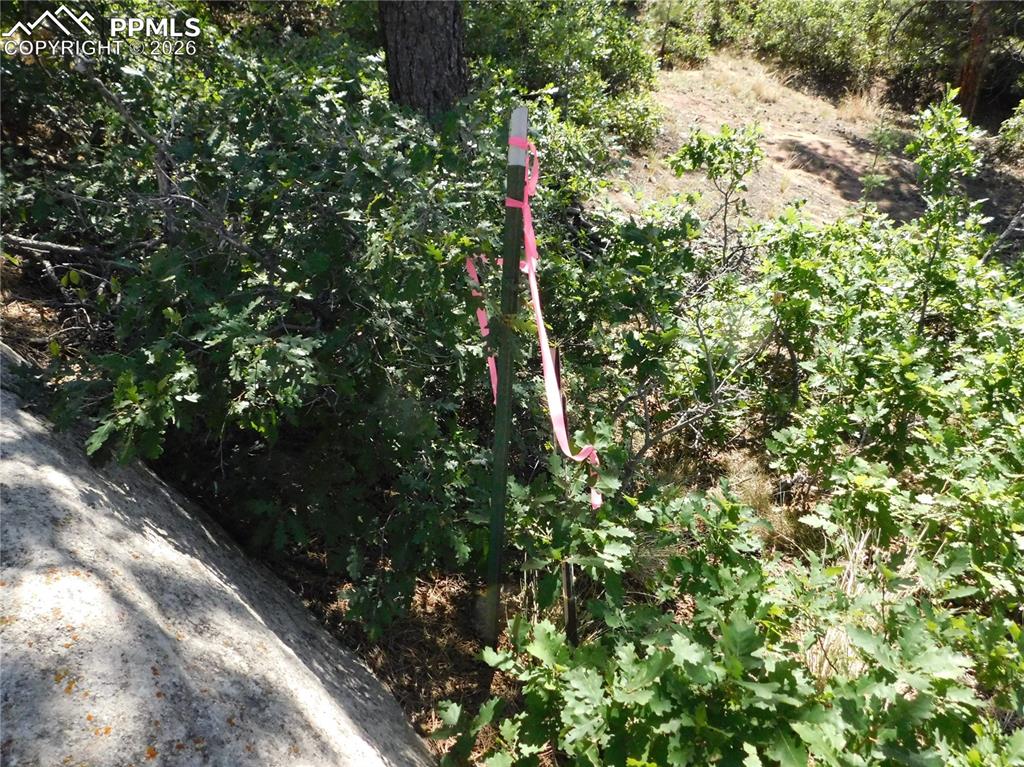 Lot 9 Troon Court Larkspur CO 80118