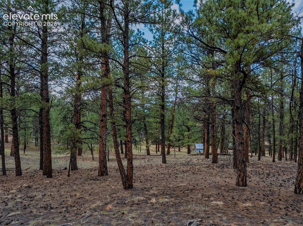 41 & 73 Ingels Drive Florissant CO 80816