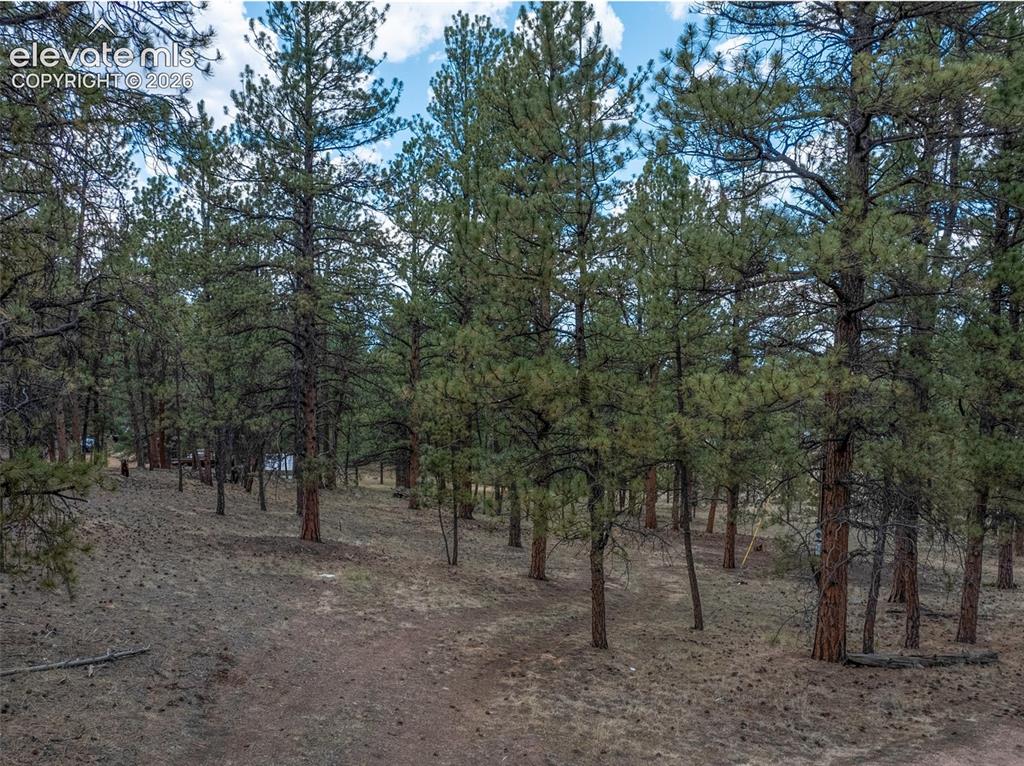 41 & 73 Ingels Drive Florissant CO 80816