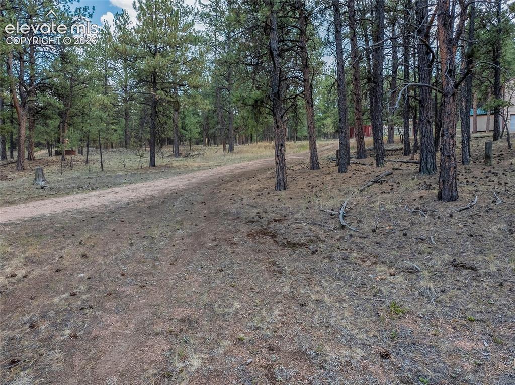 41 & 73 Ingels Drive Florissant CO 80816