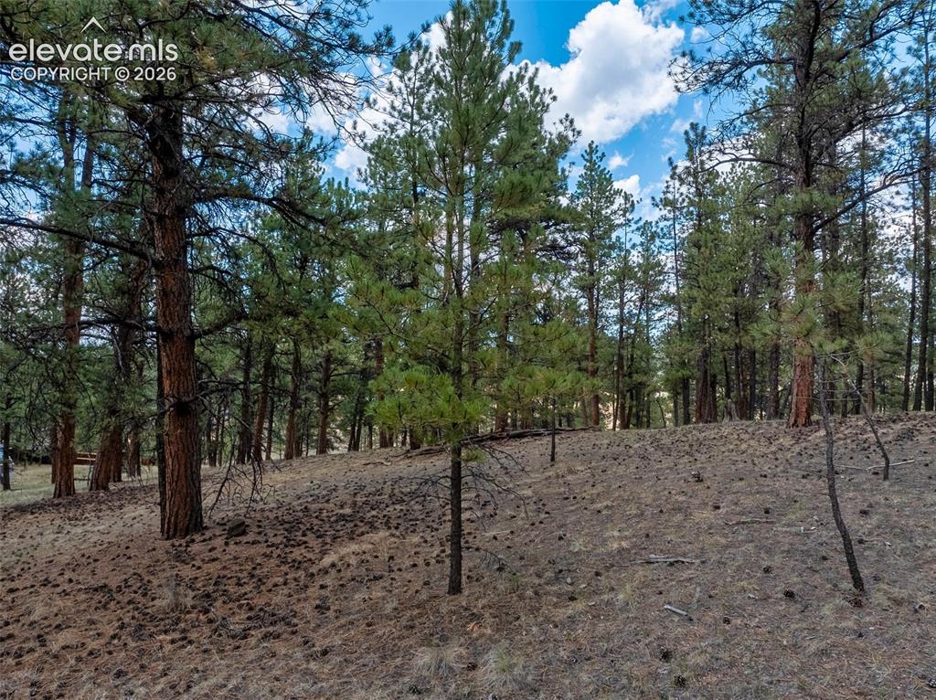 41 & 73 Ingels Drive Florissant CO 80816