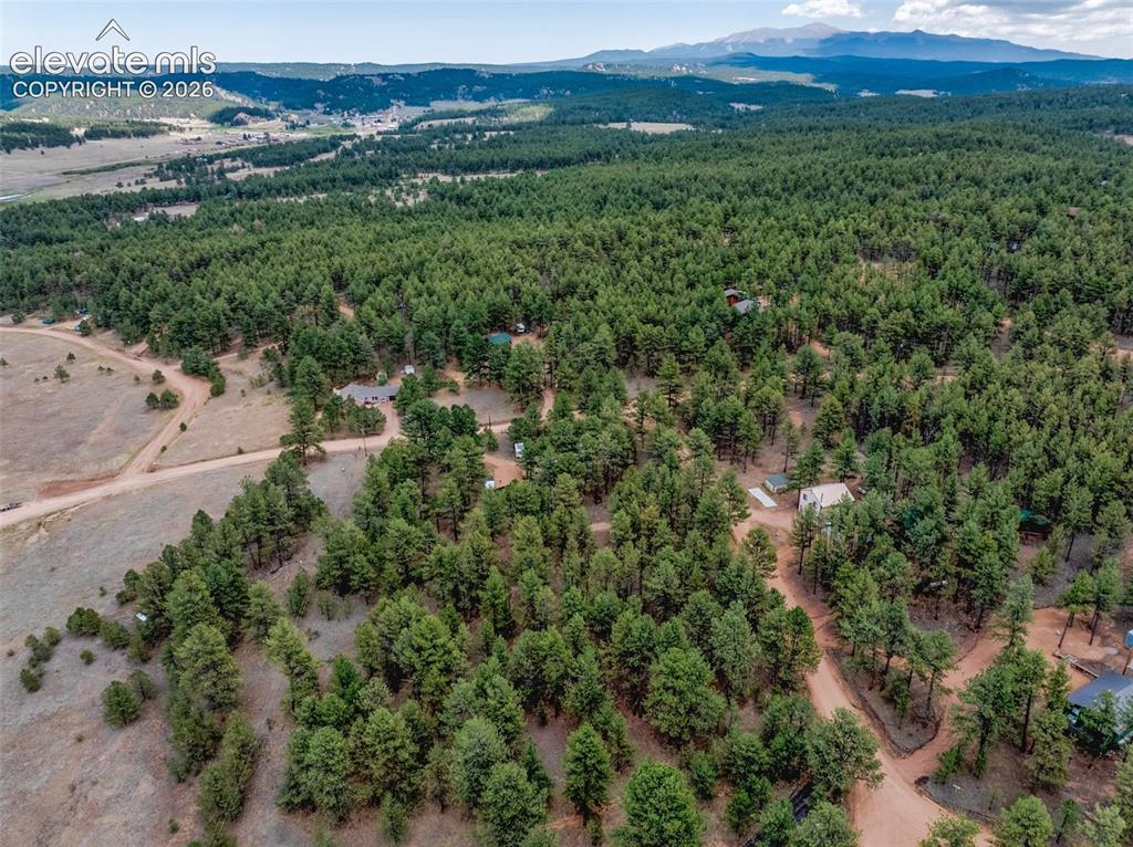 41 & 73 Ingels Drive Florissant CO 80816