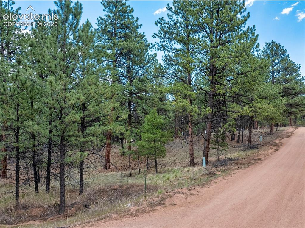 41 & 73 Ingels Drive Florissant CO 80816