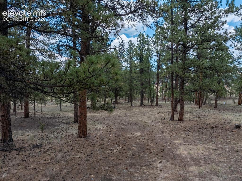 41 & 73 Ingels Drive Florissant CO 80816