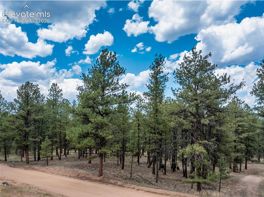 41 & 73 Ingels Drive Florissant CO 80816