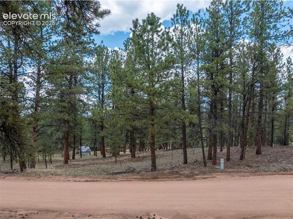 41 & 73 Ingels Drive Florissant CO 80816