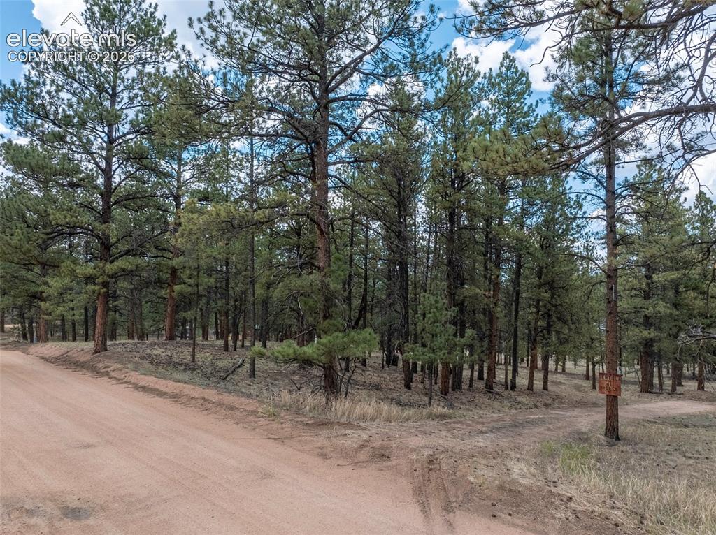 41 & 73 Ingels Drive Florissant CO 80816