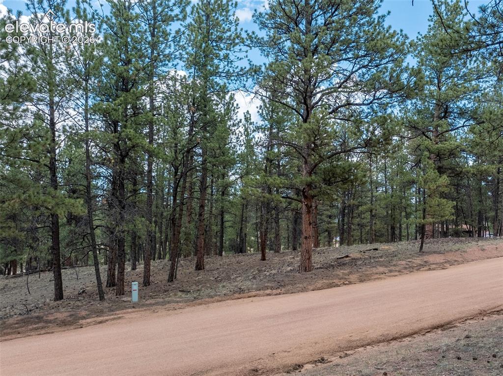 41 & 73 Ingels Drive Florissant CO 80816
