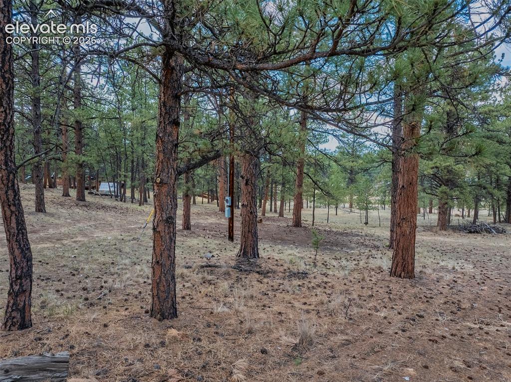41 & 73 Ingels Drive Florissant CO 80816