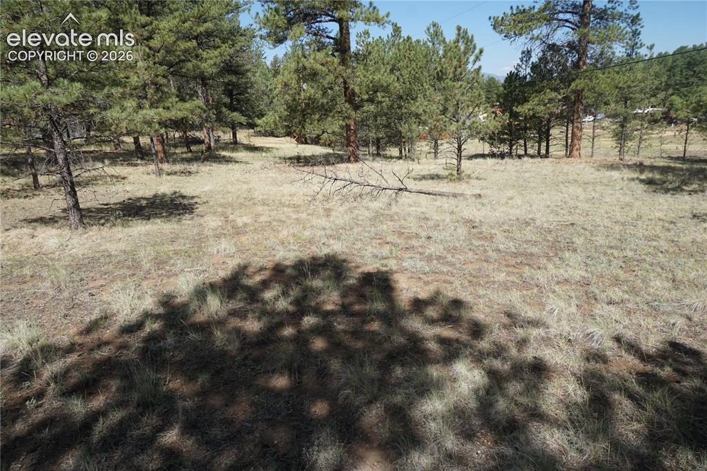 41 & 73 Ingels Drive Florissant CO 80816