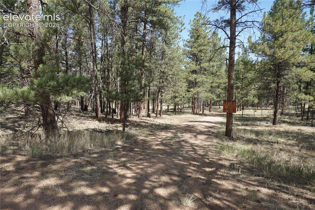 41 & 73 Ingels Drive Florissant CO 80816