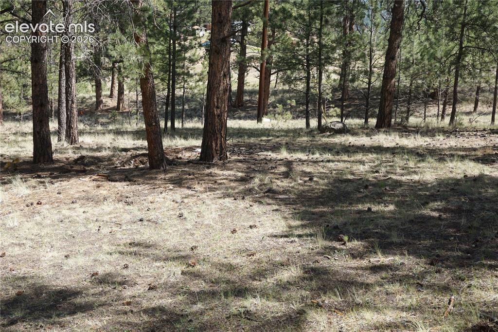 41 & 73 Ingels Drive Florissant CO 80816