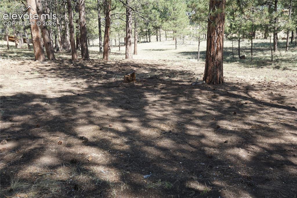 41 & 73 Ingels Drive Florissant CO 80816