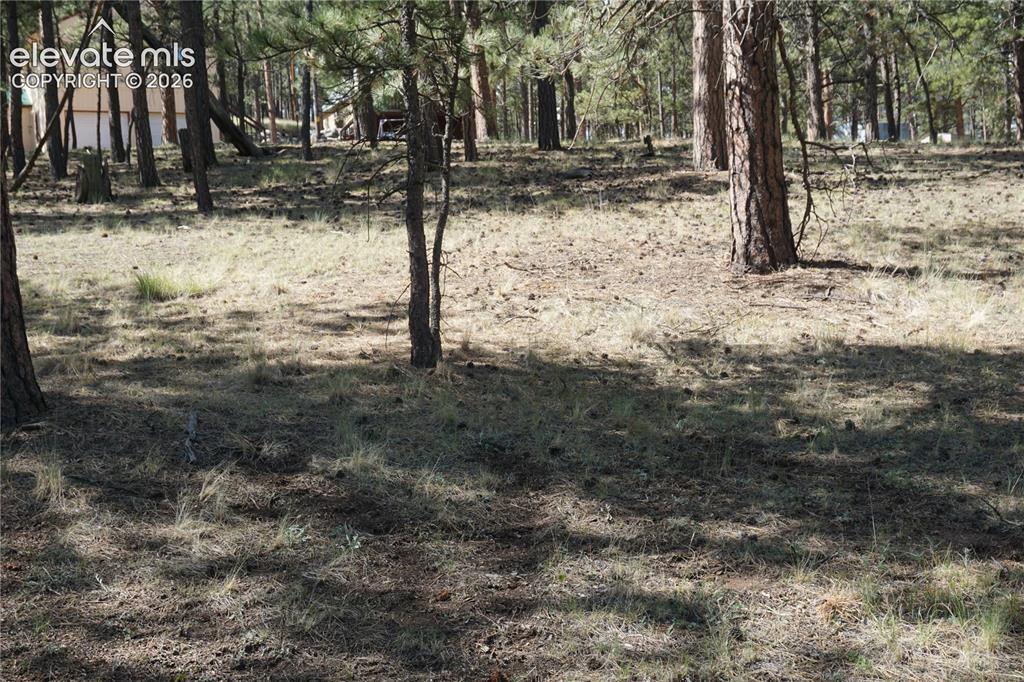41 & 73 Ingels Drive Florissant CO 80816