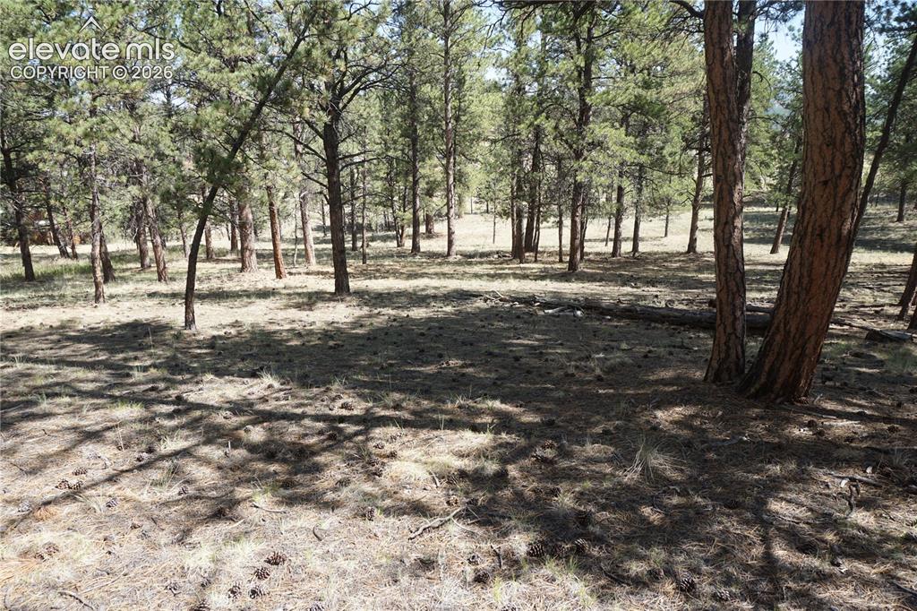 41 & 73 Ingels Drive Florissant CO 80816