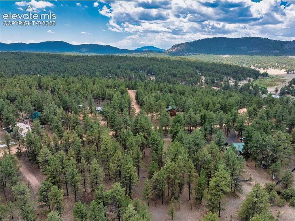 41 & 73 Ingels Drive Florissant CO 80816