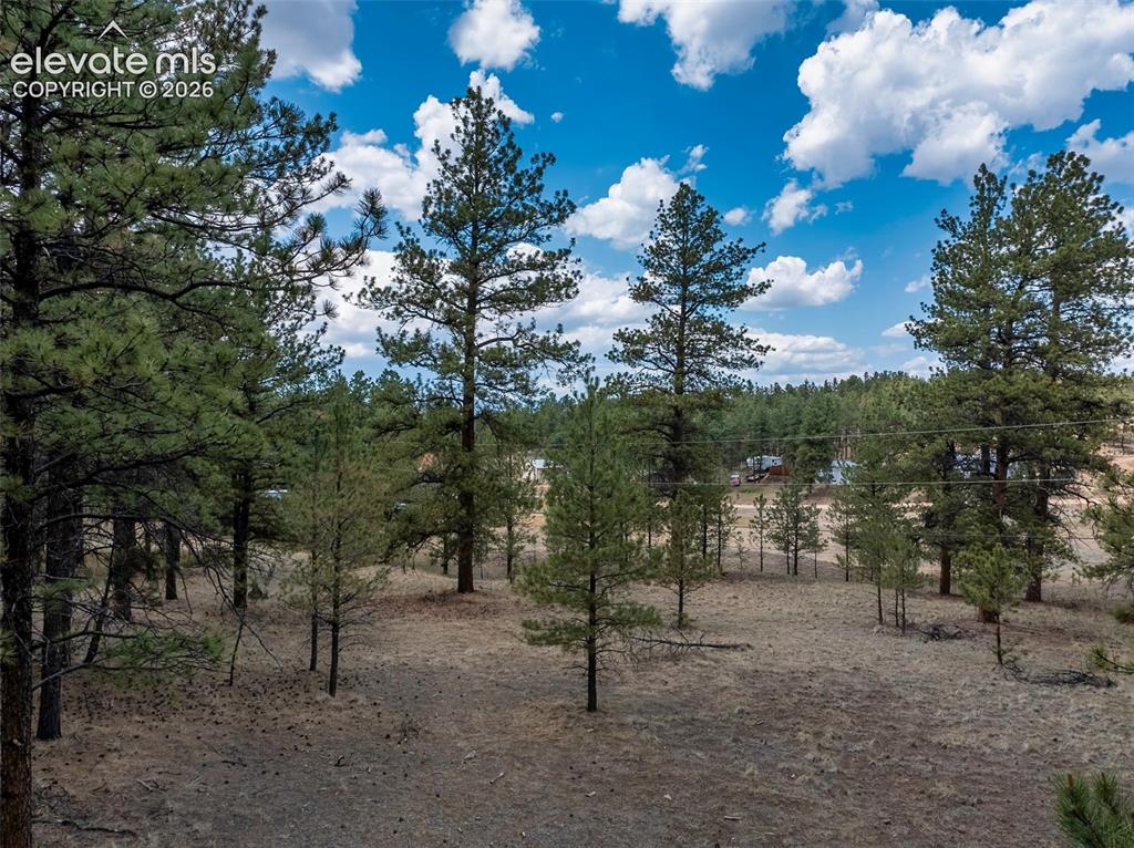 41 & 73 Ingels Drive Florissant CO 80816