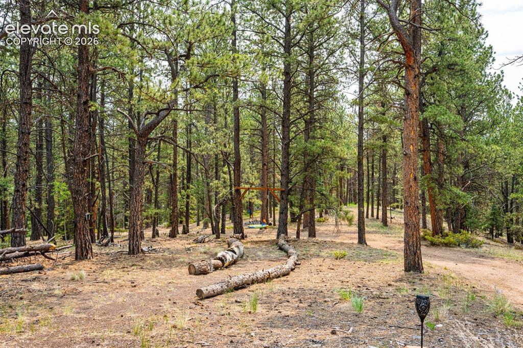 1459 Conestoga Creek Road Florissant CO 80816