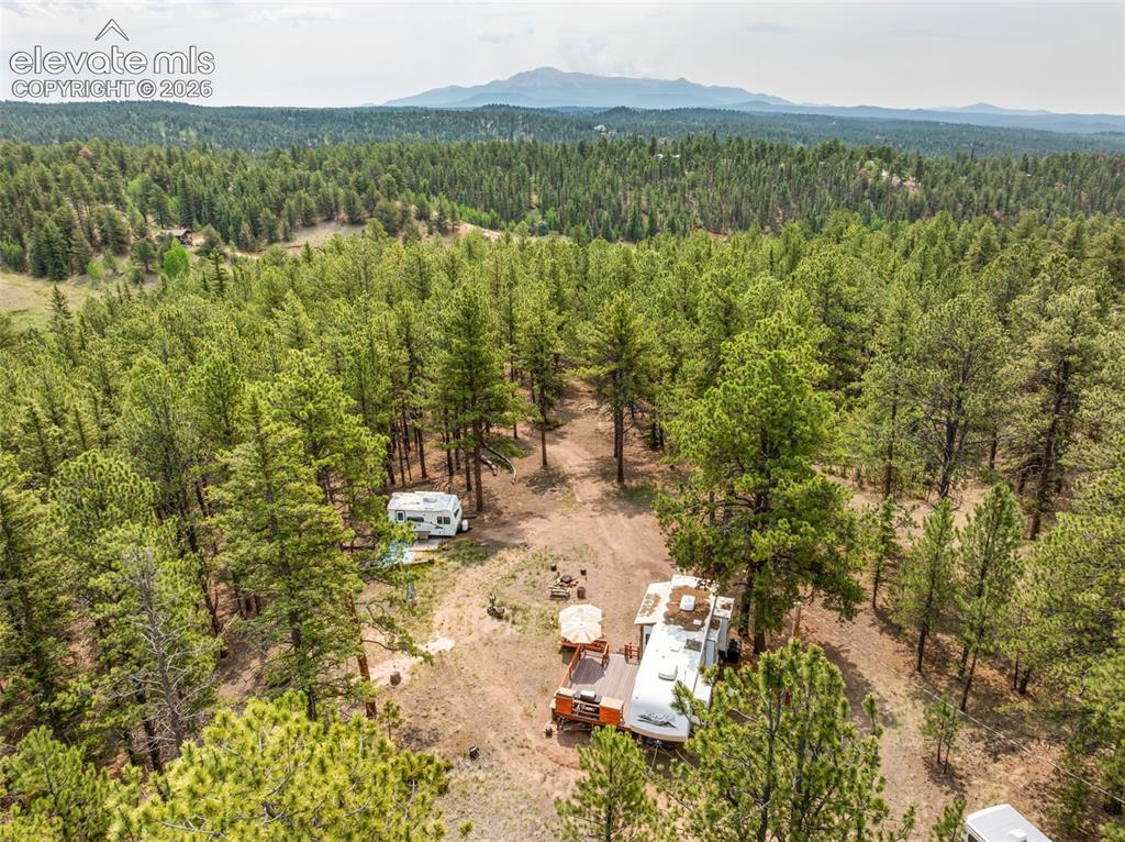 1459 Conestoga Creek Road Florissant CO 80816