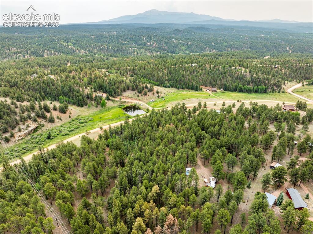 1459 Conestoga Creek Road Florissant CO 80816