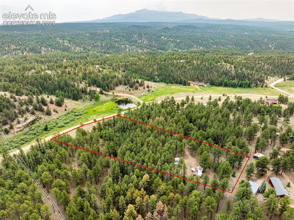 1459 Conestoga Creek Road Florissant CO 80816
