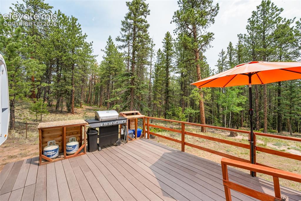 1459 Conestoga Creek Road Florissant CO 80816