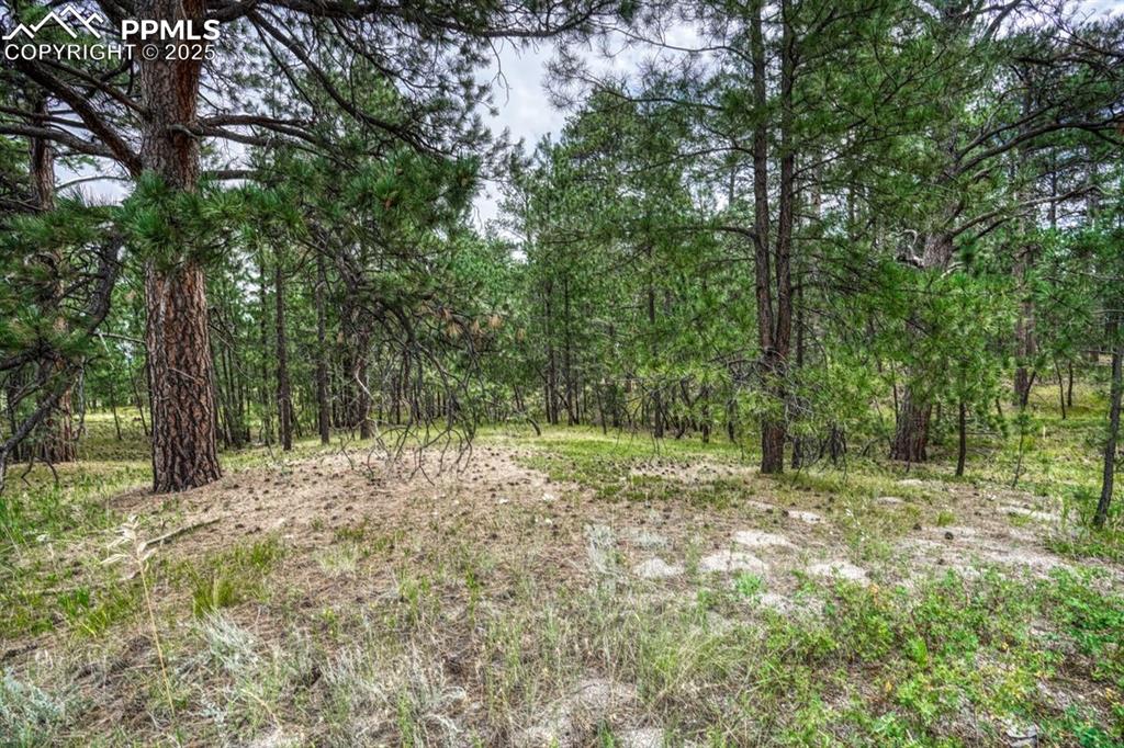 00 Club Drive Colorado Springs CO 80908