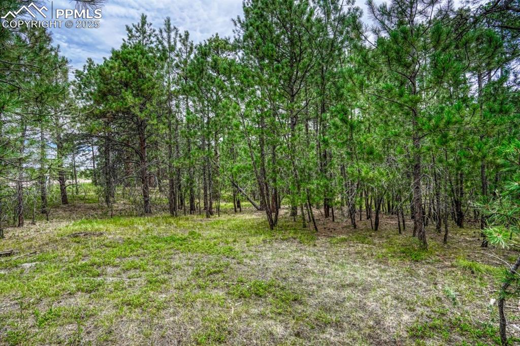 00 Club Drive Colorado Springs CO 80908
