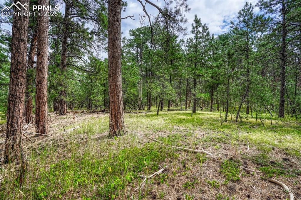 00 Club Drive Colorado Springs CO 80908