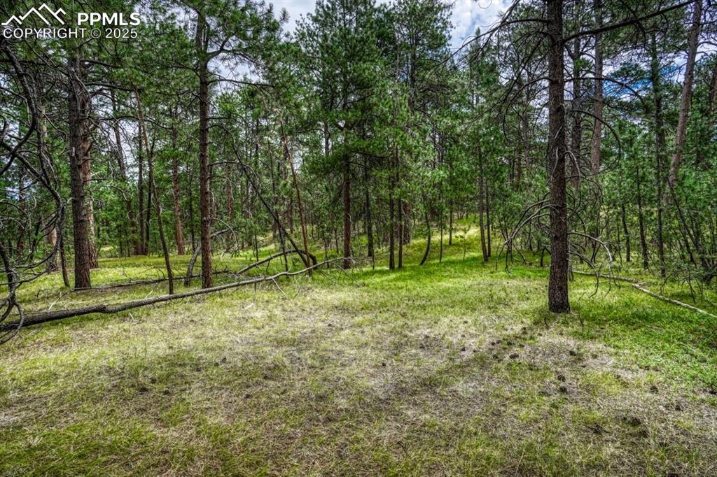 00 Club Drive Colorado Springs CO 80908