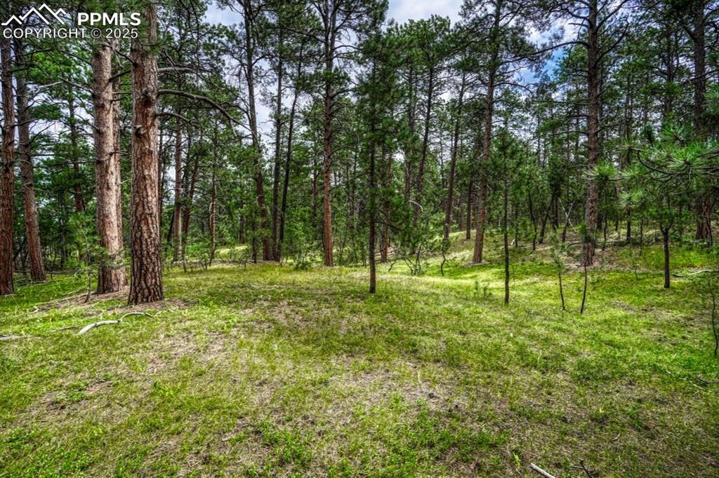 00 Club Drive Colorado Springs CO 80908