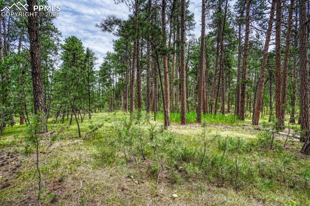 00 Club Drive Colorado Springs CO 80908
