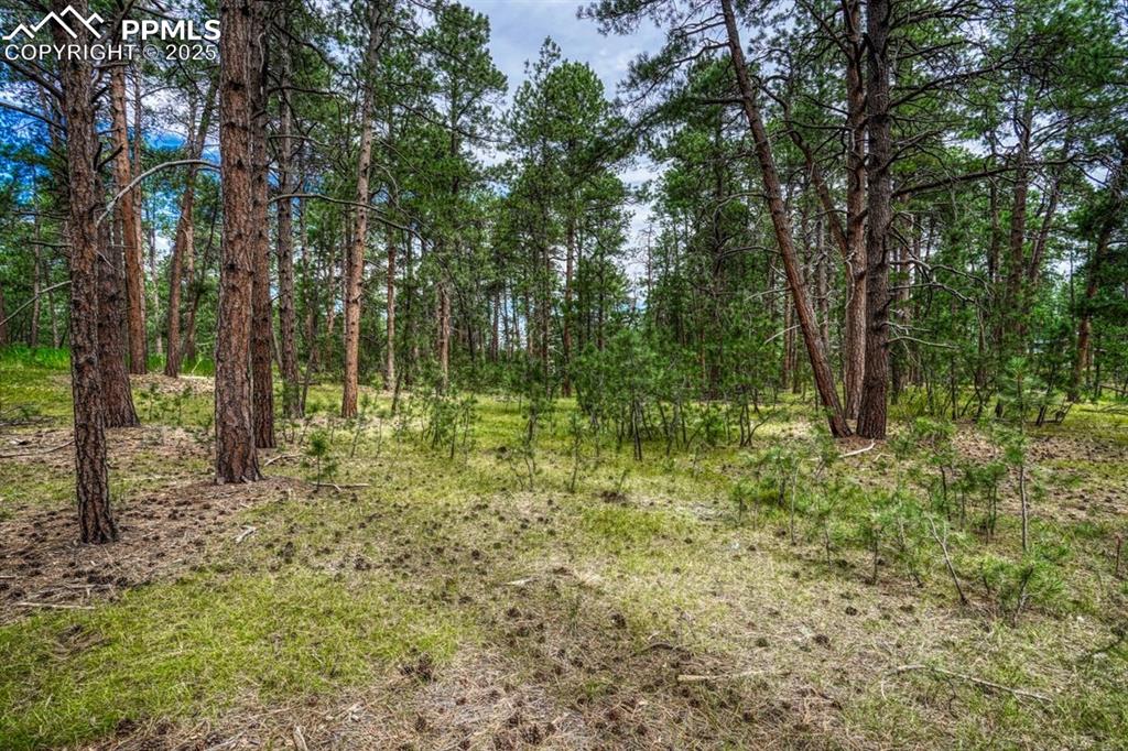 00 Club Drive Colorado Springs CO 80908