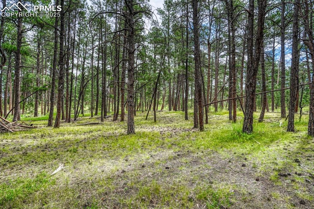 00 Club Drive Colorado Springs CO 80908