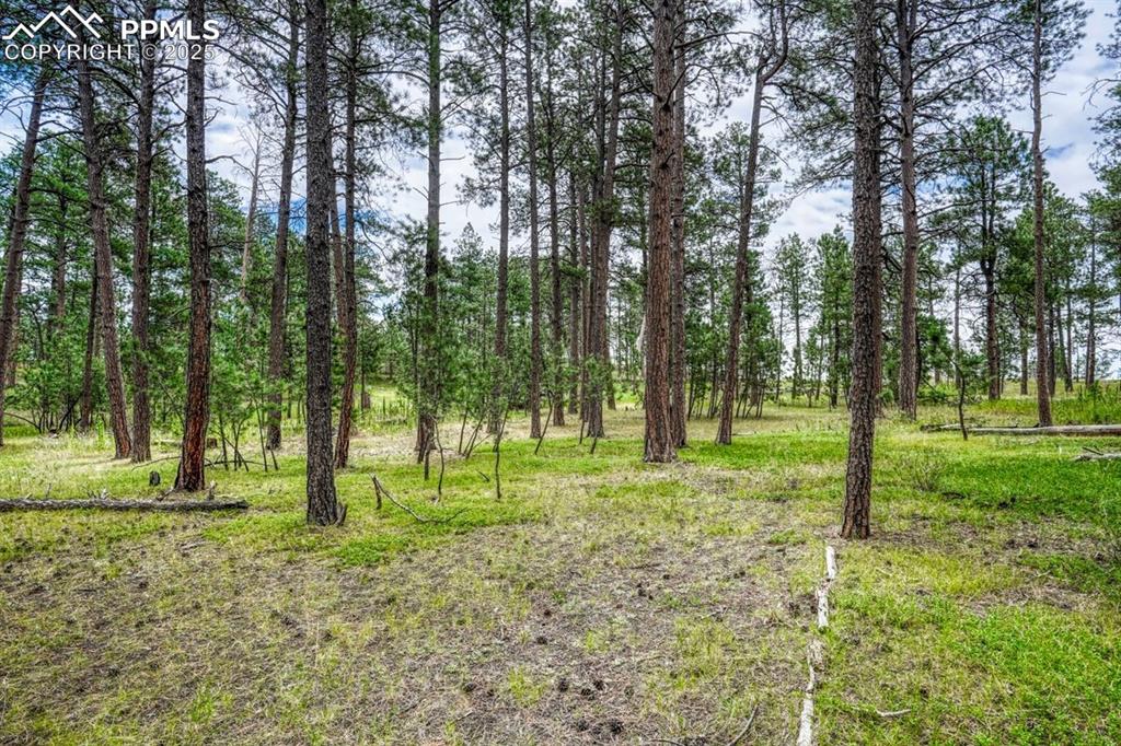 00 Club Drive Colorado Springs CO 80908