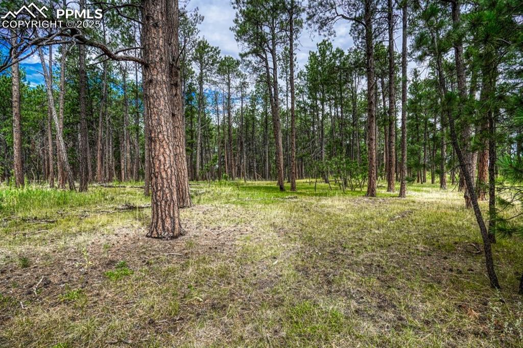 00 Club Drive Colorado Springs CO 80908