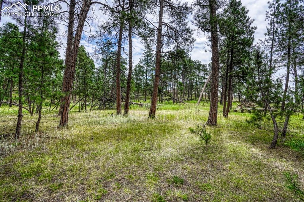 00 Club Drive Colorado Springs CO 80908