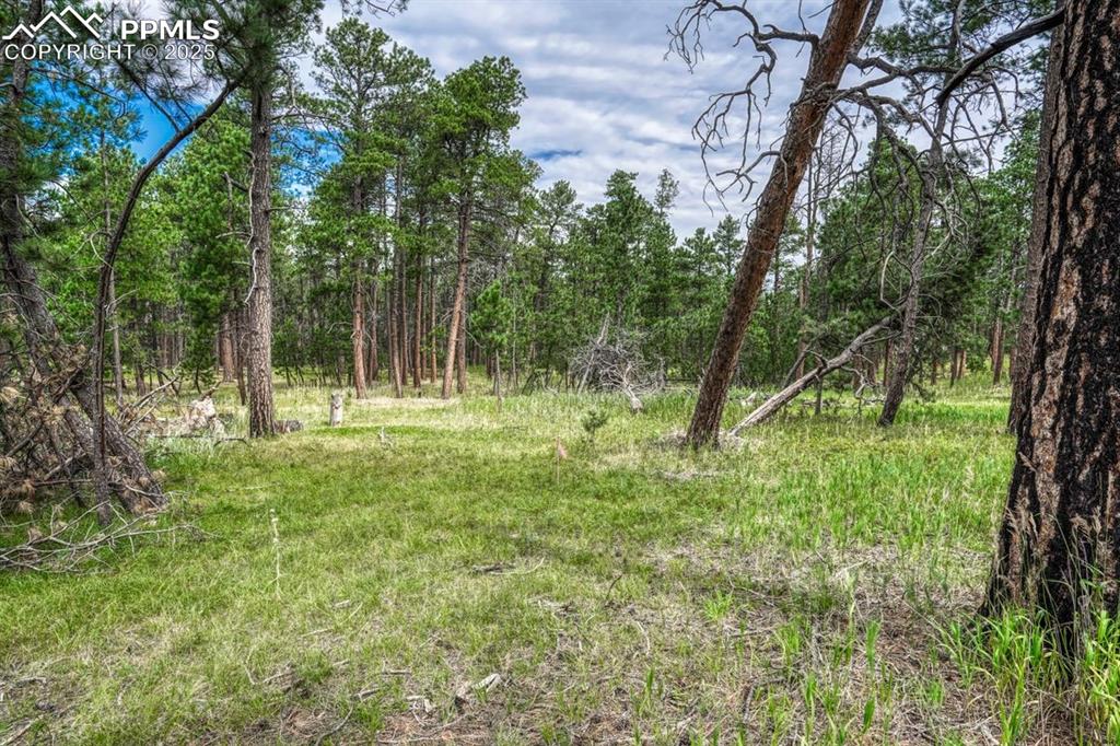 00 Club Drive Colorado Springs CO 80908