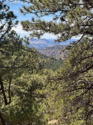 288 Troy Drive Cripple Creek CO 80813