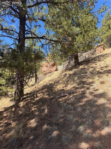 288 Troy Drive Cripple Creek CO 80813