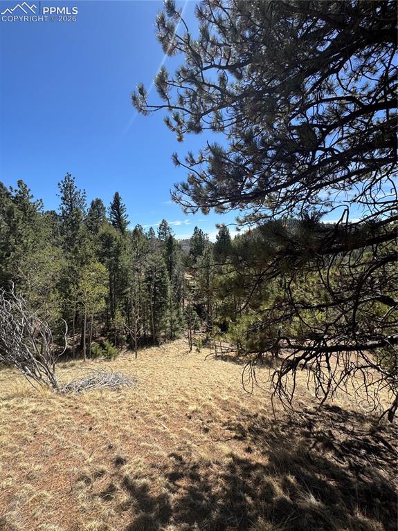 288 Troy Drive Cripple Creek CO 80813