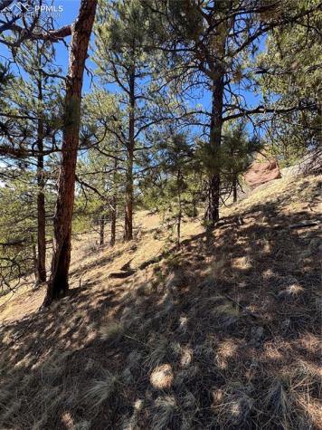 288 Troy Drive Cripple Creek CO 80813