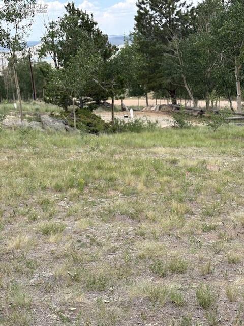 206 Emerald Way Lake George CO 80827