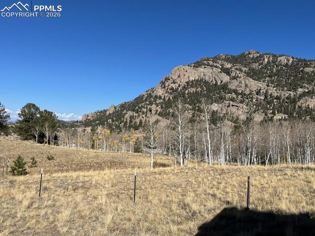 206 Emerald Way Lake George CO 80827