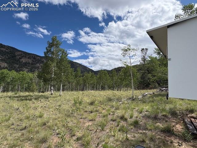 206 Emerald Way Lake George CO 80827