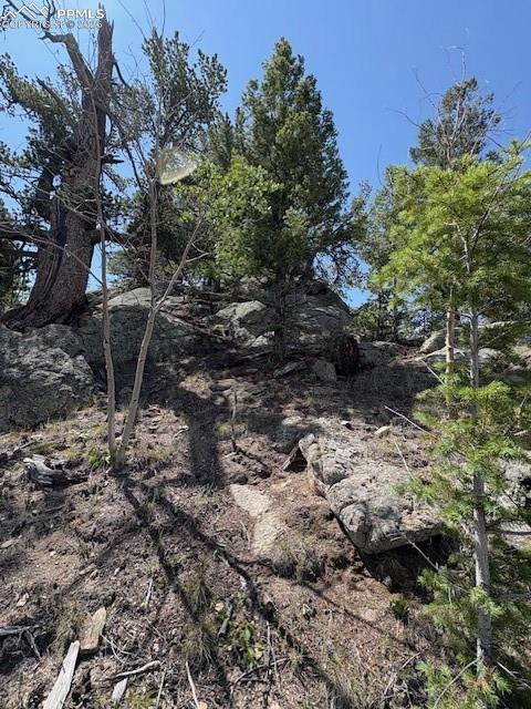 206 Emerald Way Lake George CO 80827