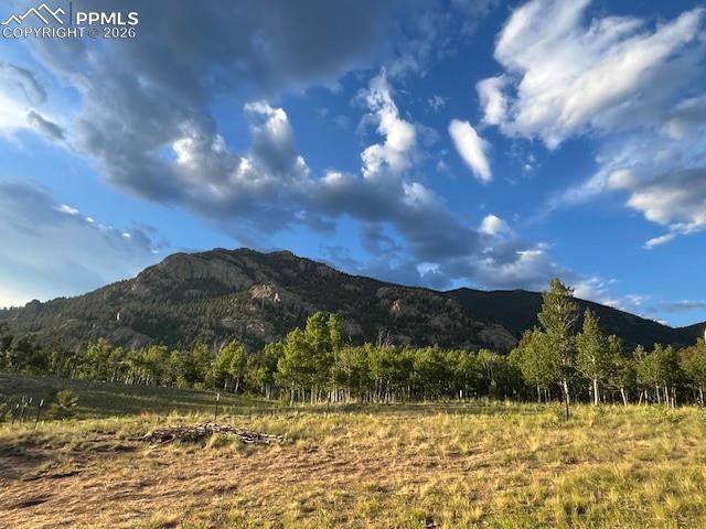 206 Emerald Way Lake George CO 80827