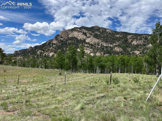 206 Emerald Way Lake George CO 80827