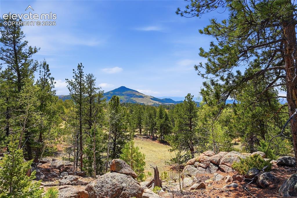 7070 County Road 1 Cripple Creek CO 80813